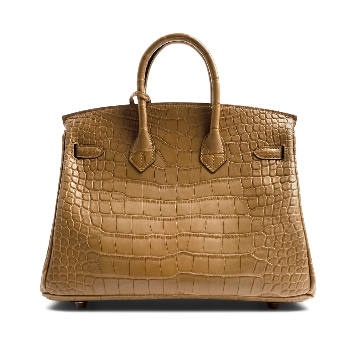 Hermès Birkin 25 Alligator Kraft - 2023