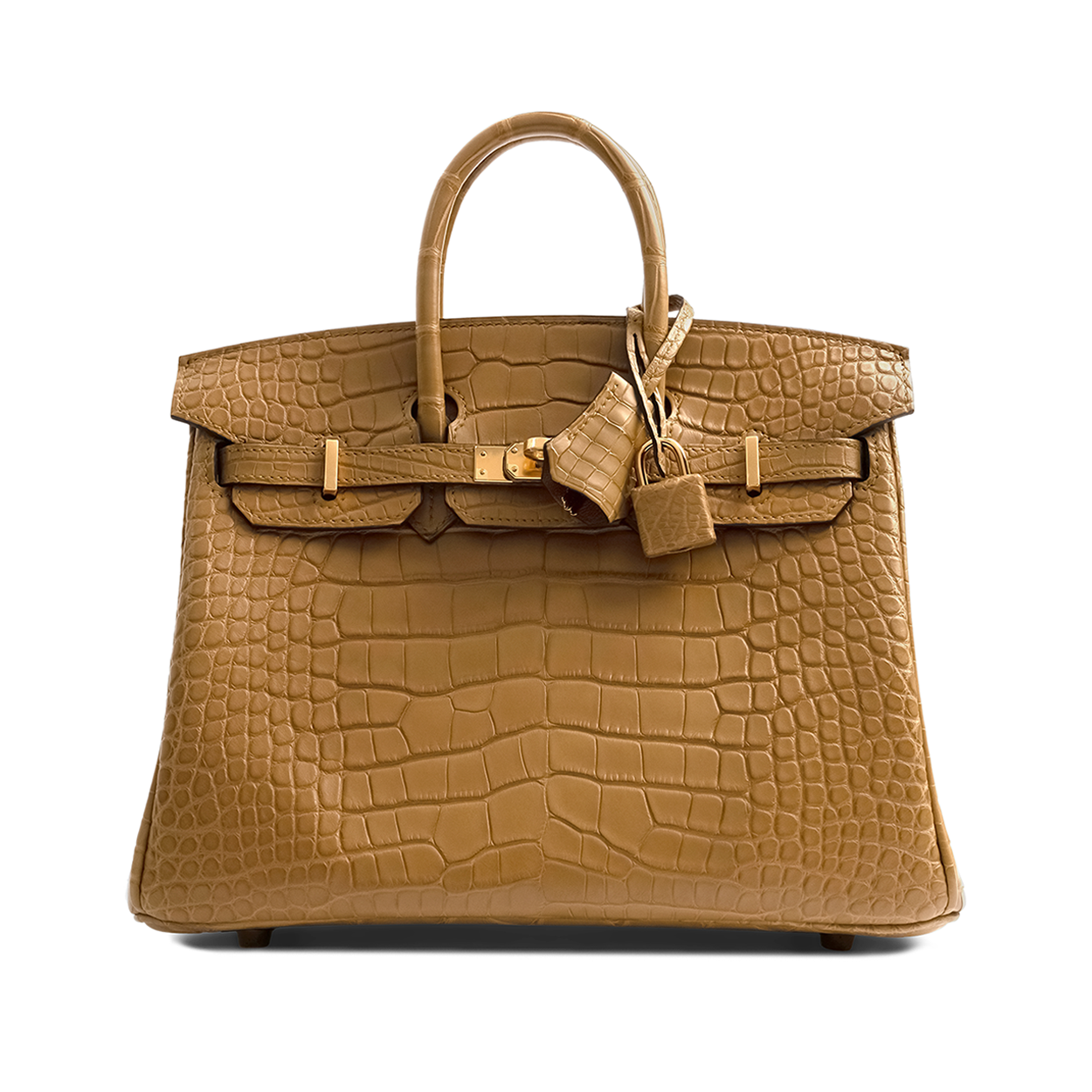 Hermès Birkin 25 Alligator Kraft - 2023