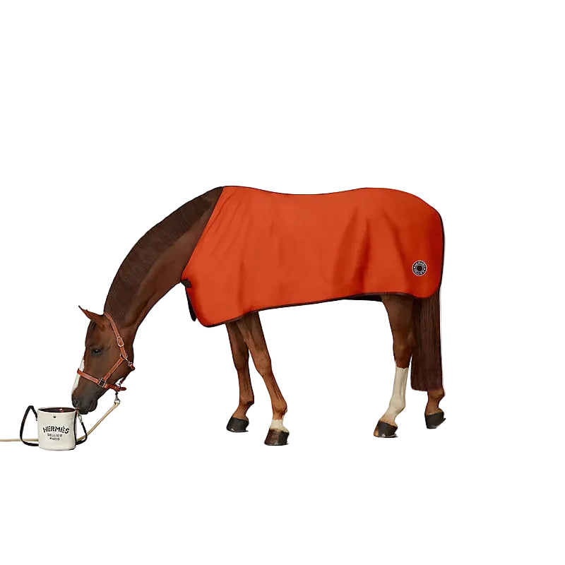 Hermès Hamptons Drying Rug - Feu